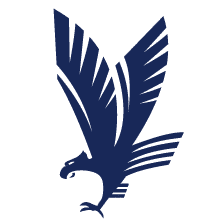 blue-hawk