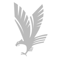 grey-hawk-icon