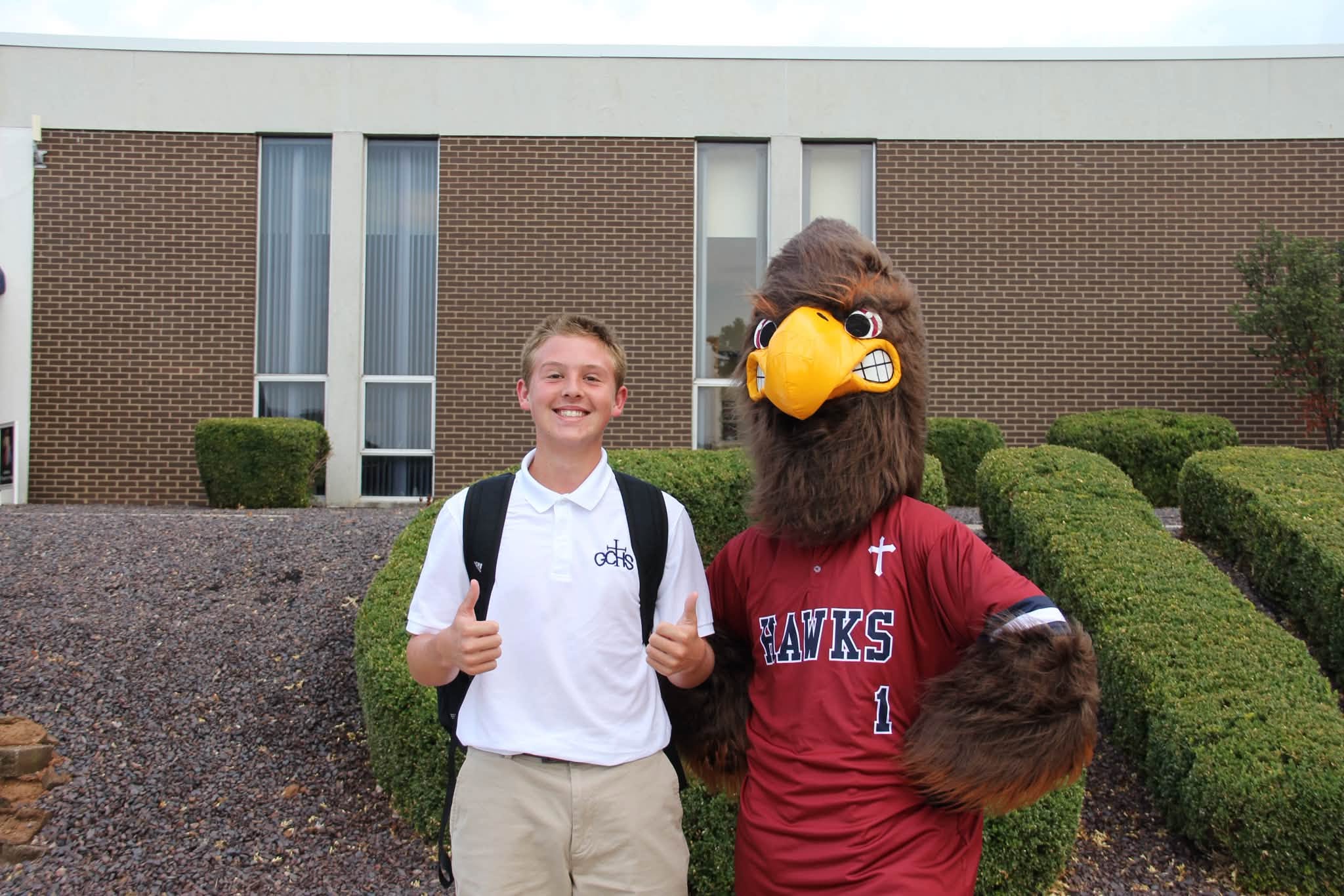 hawk